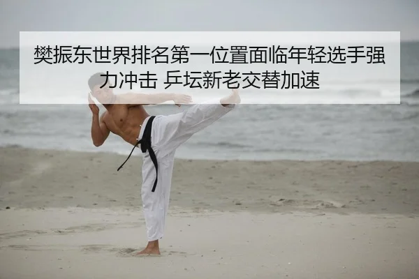 樊振东世界排名第一位置面临年轻选手强力冲击 乒坛新老交替加速