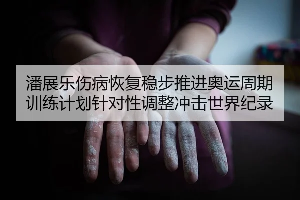 潘展乐伤病恢复稳步推进奥运周期训练计划针对性调整冲击世界纪录